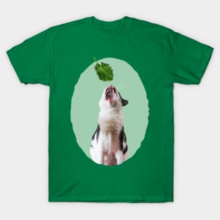 My Fav Food Is Kale T-Shirt